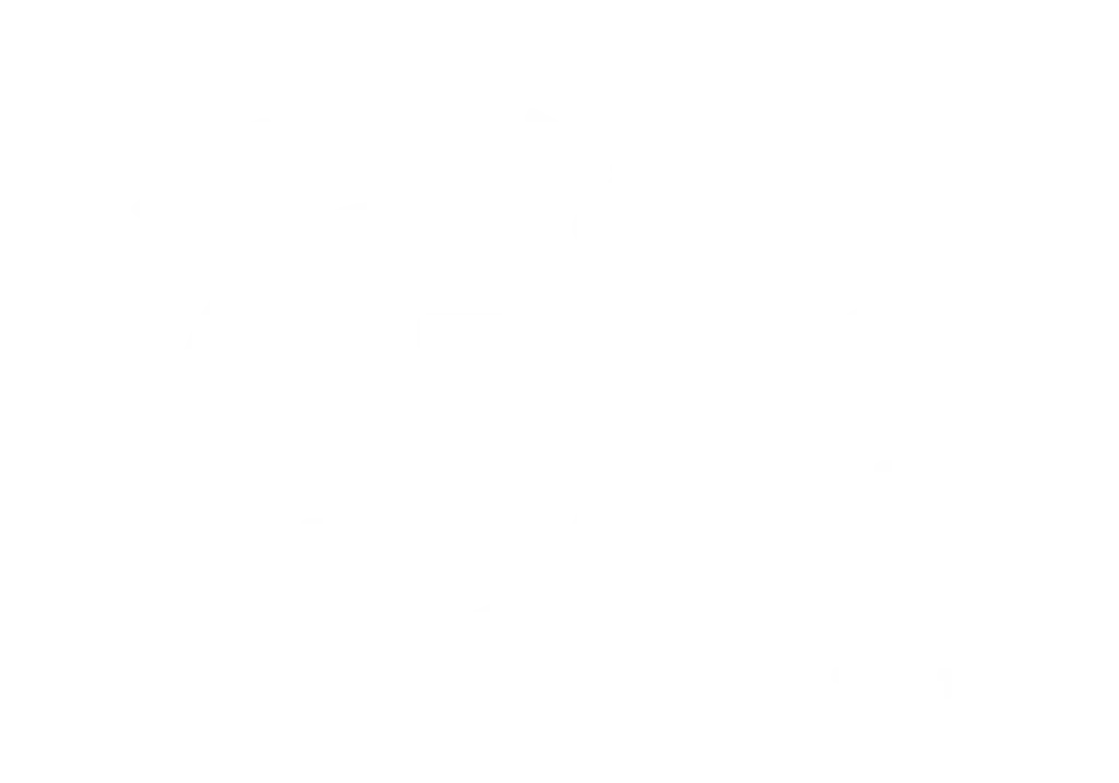 handwerker-im seil-mannheim logo weiß